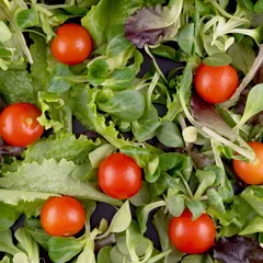 Garden green mix