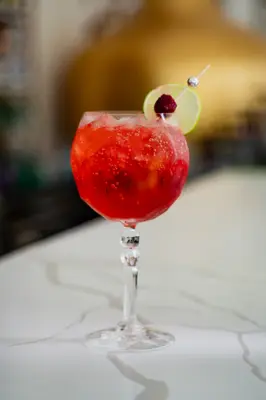 Gin Tonic Fructe