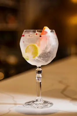Gin Tonic / Pink Tonic