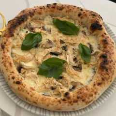 Pizza Chicken Deluxe